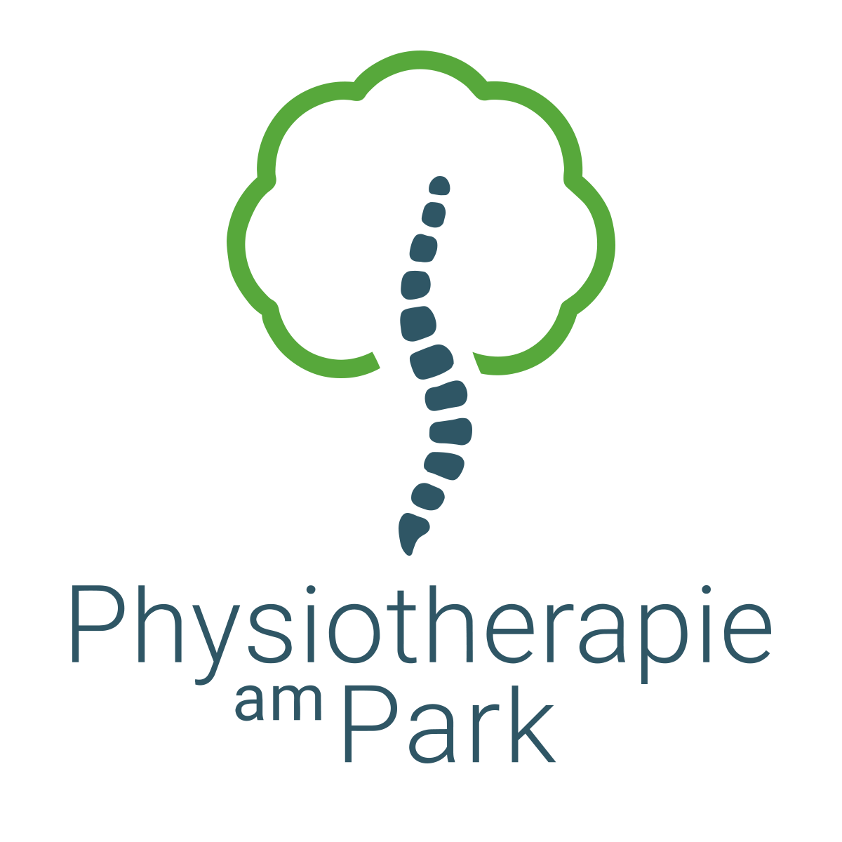 Praxis Am Park Die Physiotherapie